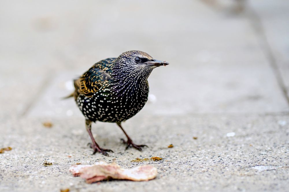 Photograph by Галина Искандарова