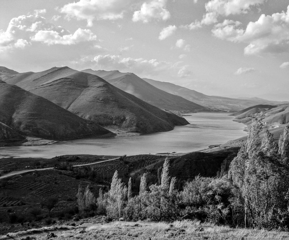 Photograph by Reza Heydari
