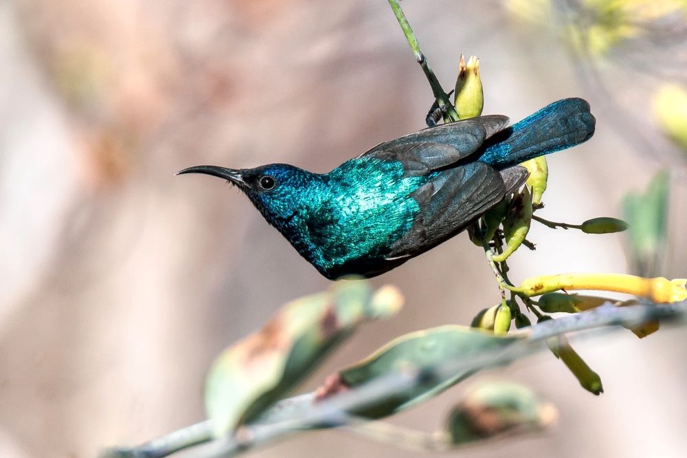 Photograph by Hervie Imus