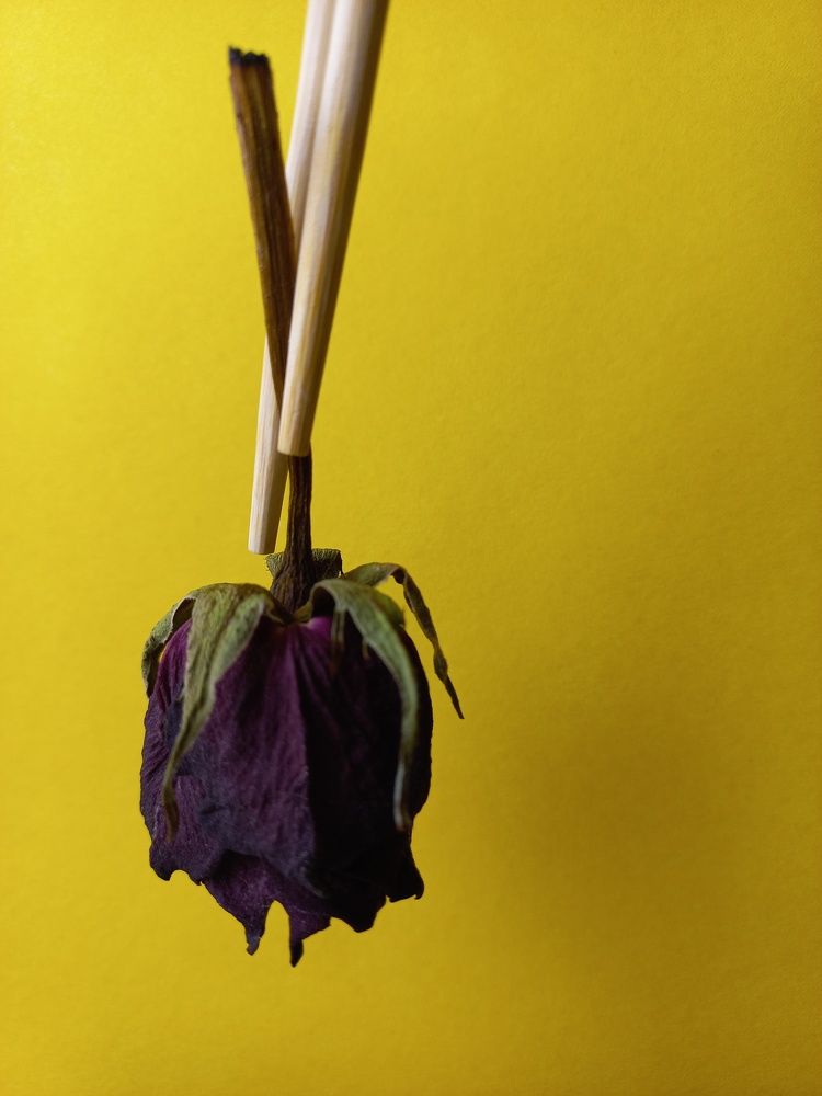 Photograph by Зоя Кулько