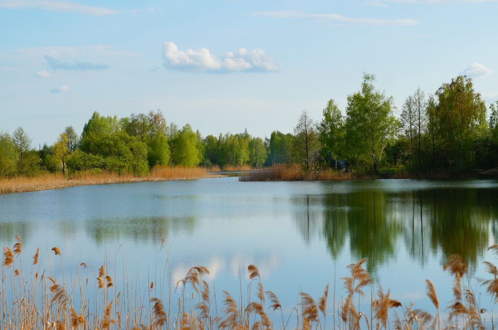 Photograph by Юля Хатыпова