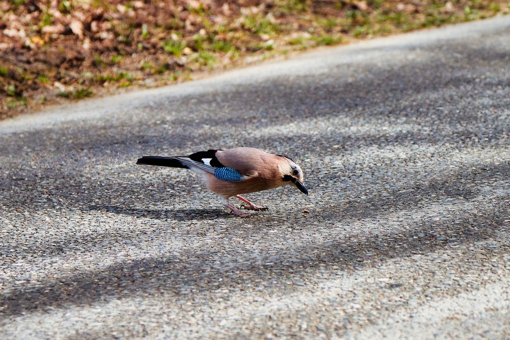 Photograph by Алексей Ольшевский