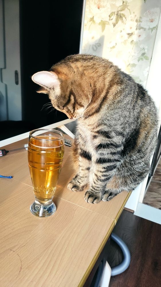 Photograph by Natalia Persidskaia