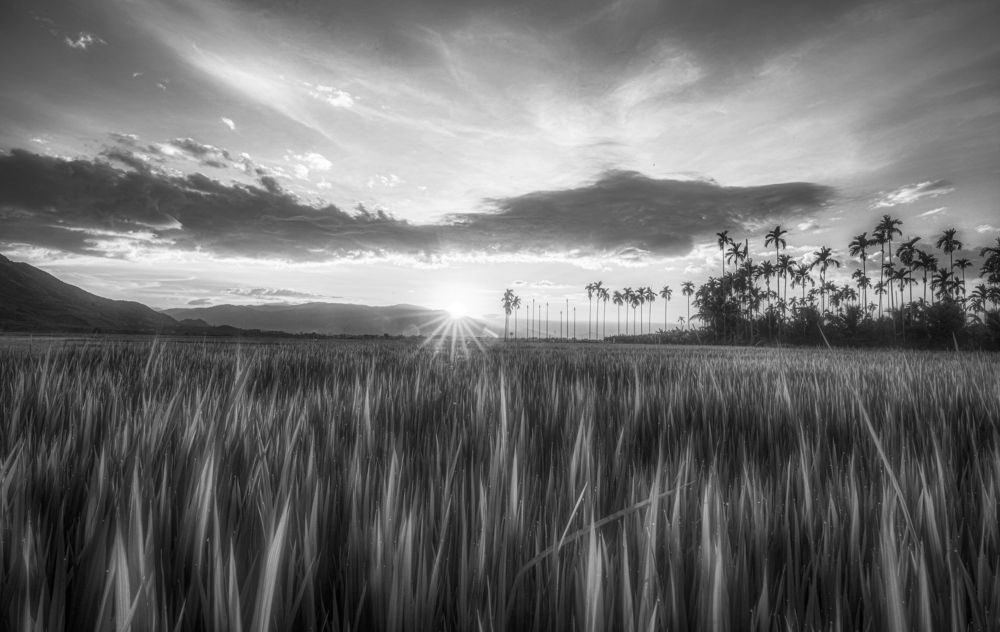 Photograph by Tran Khoa