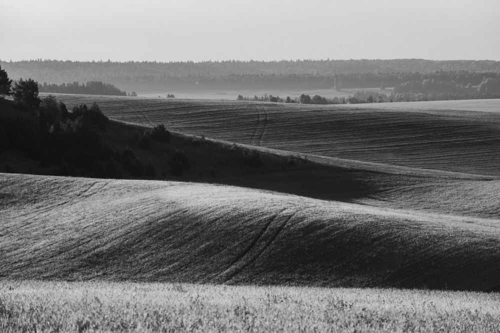 Фотография автора Паша Петров