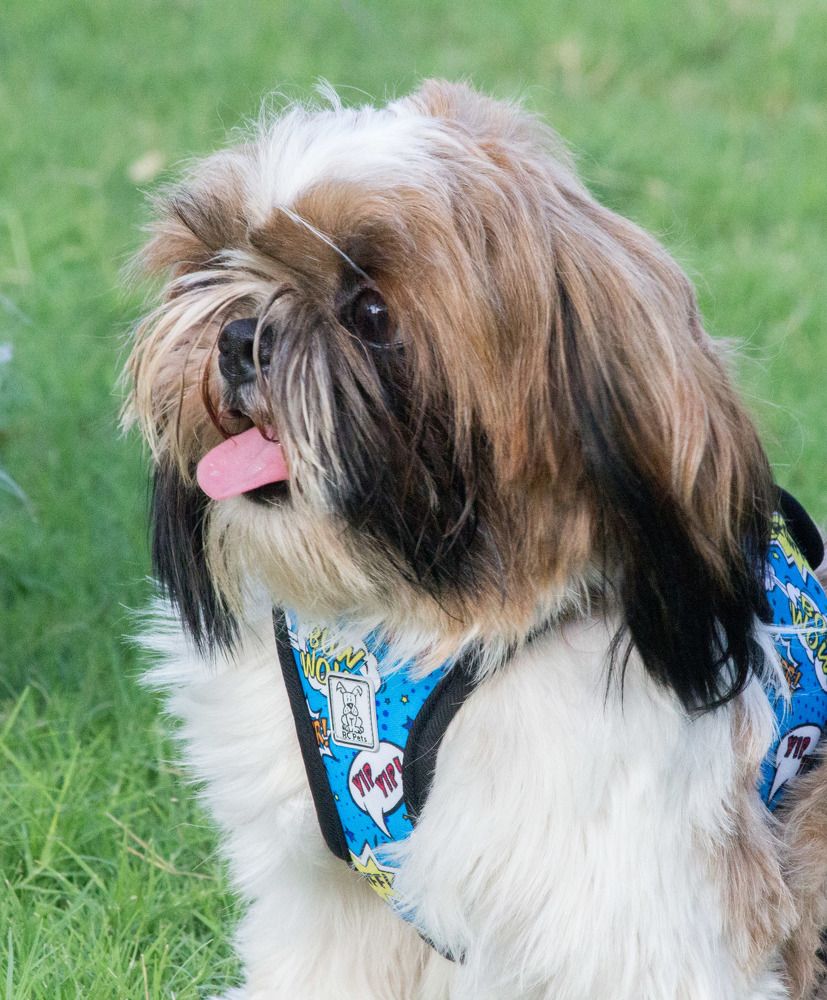 Photograph by Manish (Valmie) Joshi