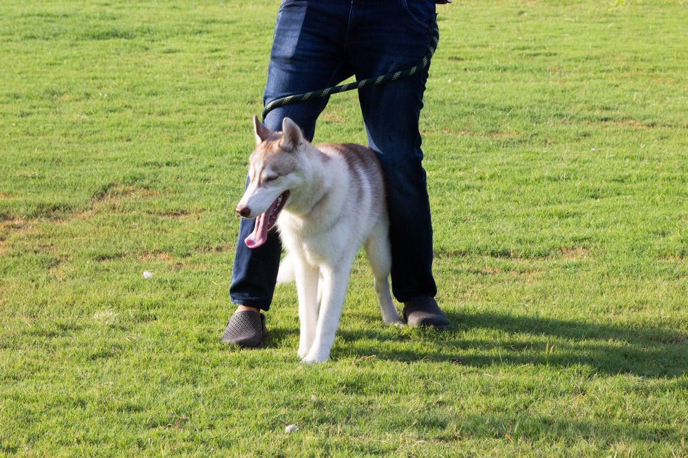 Photograph by Manish (Valmie) Joshi