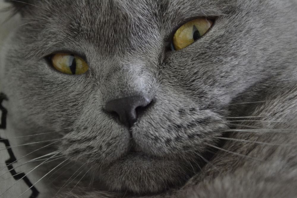 Photograph by Евгения Серебрякова