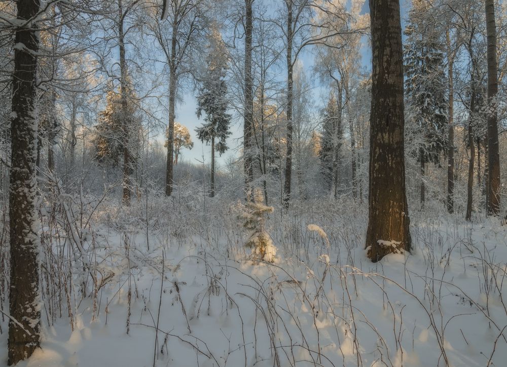 Photograph by Cергей Черныш