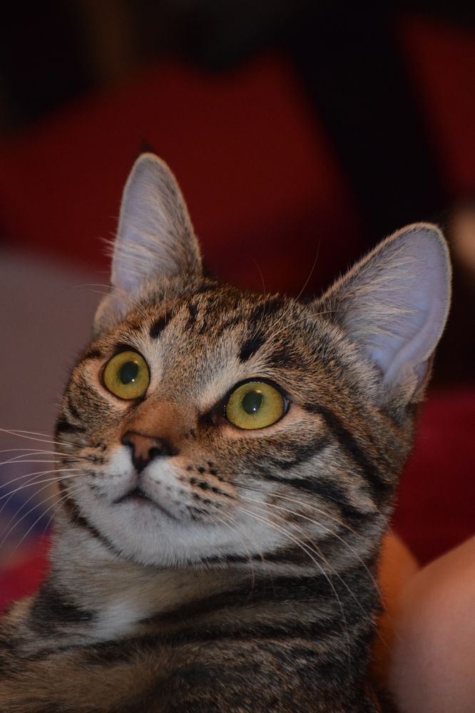 Photograph by Natalia Persidskaia