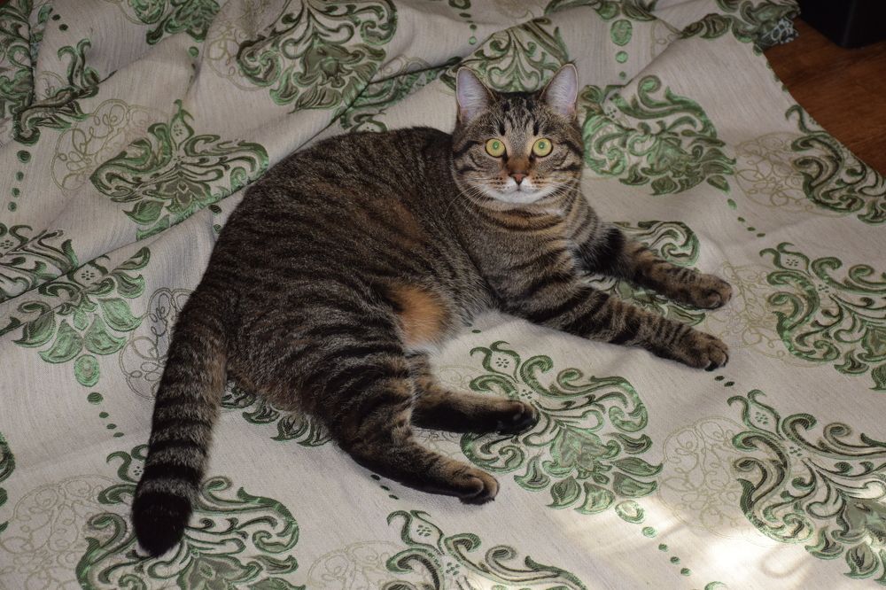 Photograph by Natalia Persidskaia