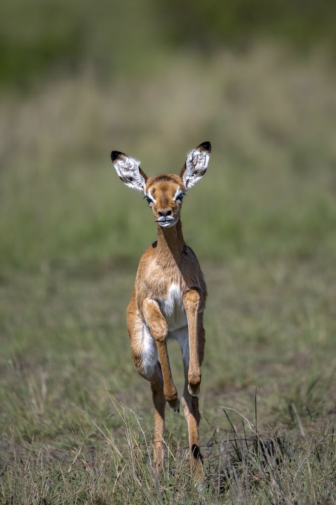 Photograph by Jayakumar MN