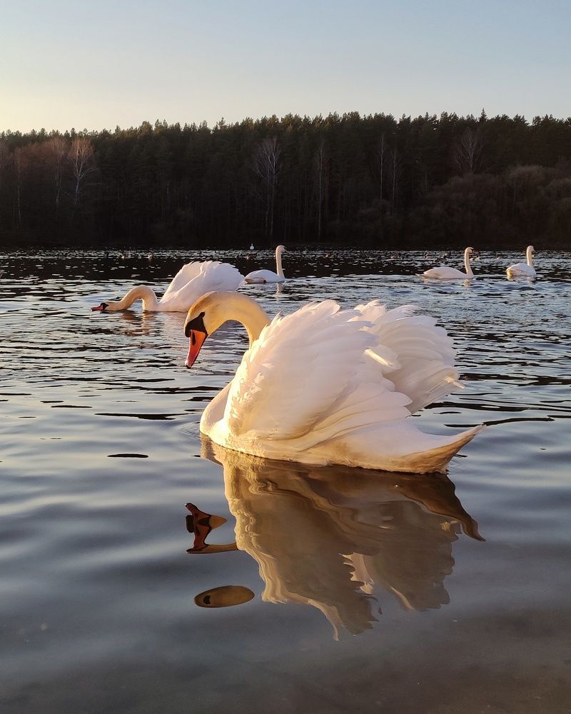 Совершенство