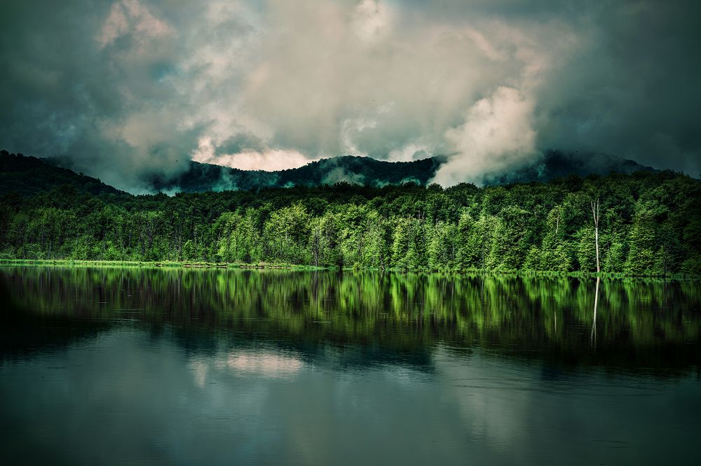 Photograph by fereydoon deliry