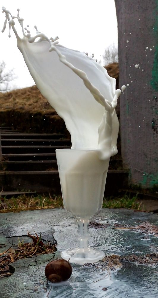 Фотография автора Татьяна Ротько