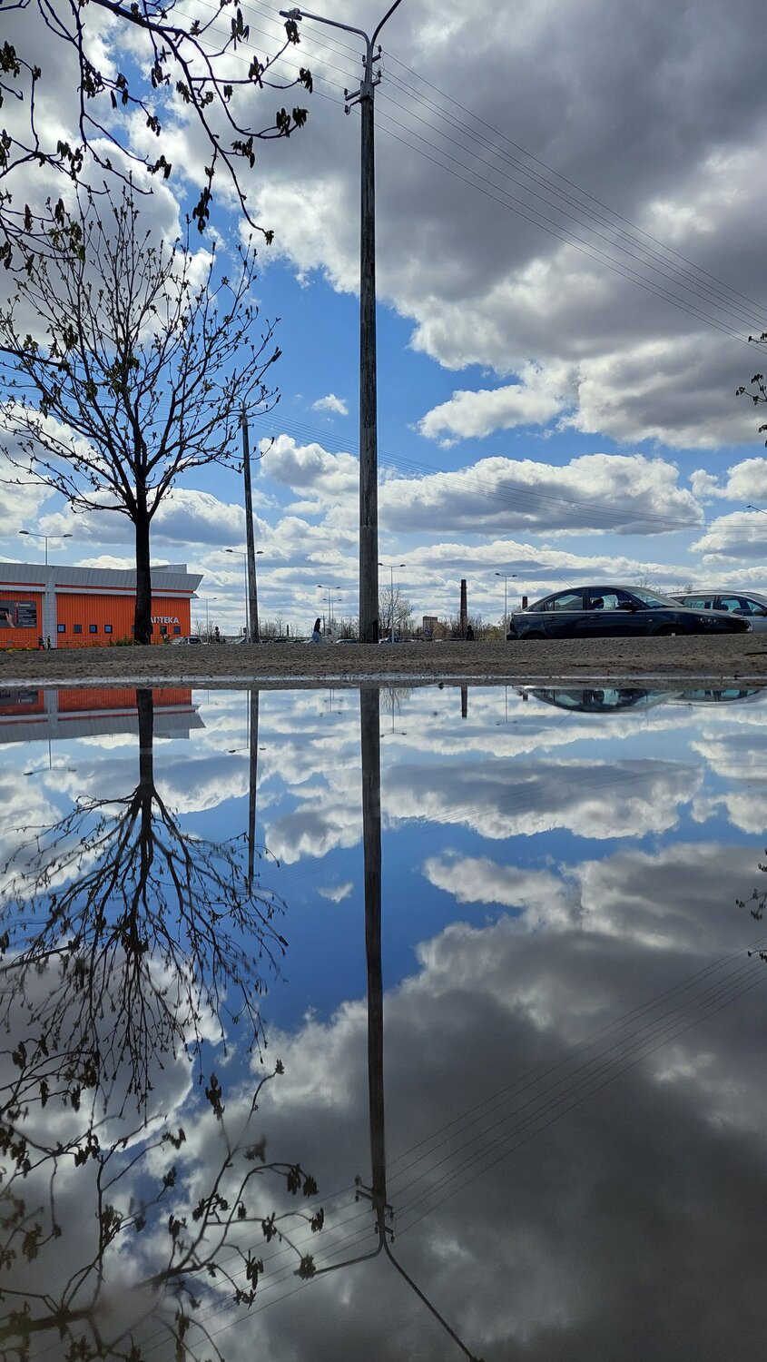 Photo #7555540