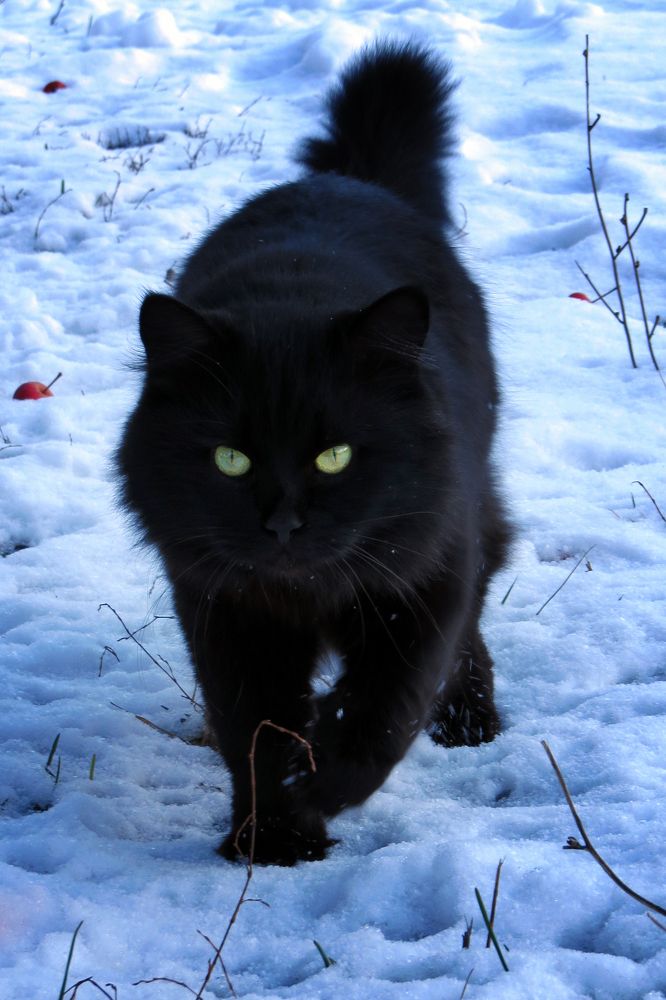 Photograph by Наташа Фишер