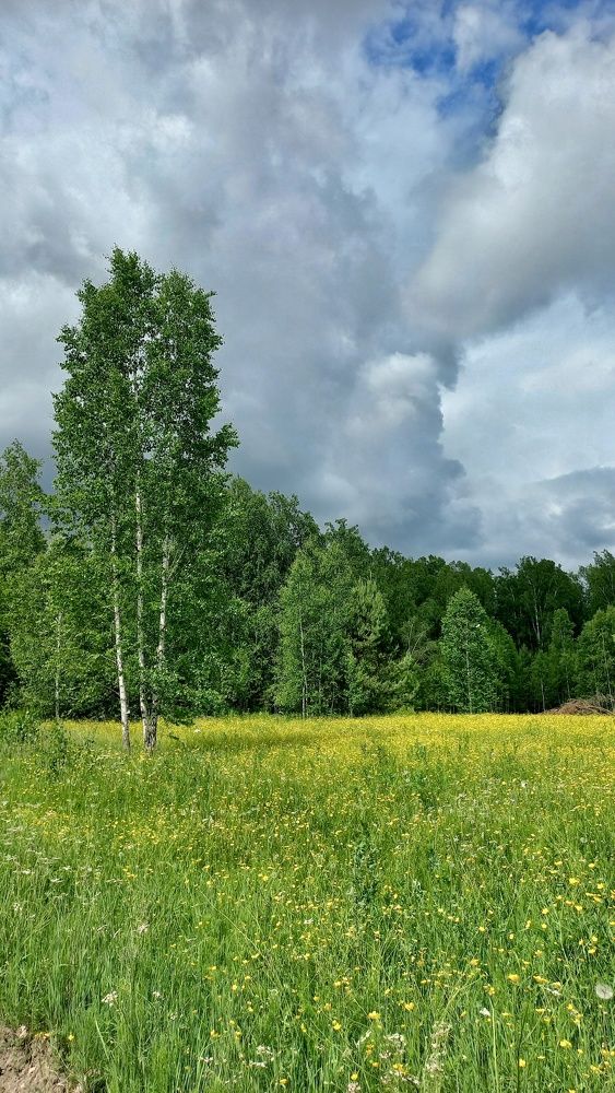 Photograph by Mikhail