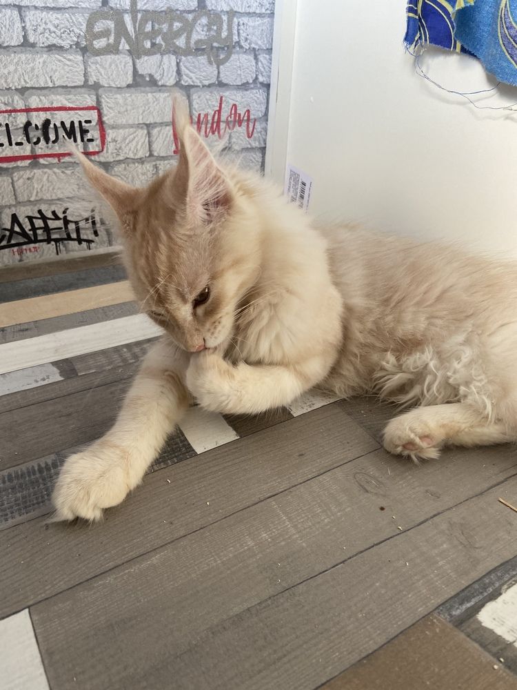 Photograph by Юлия Зеленева