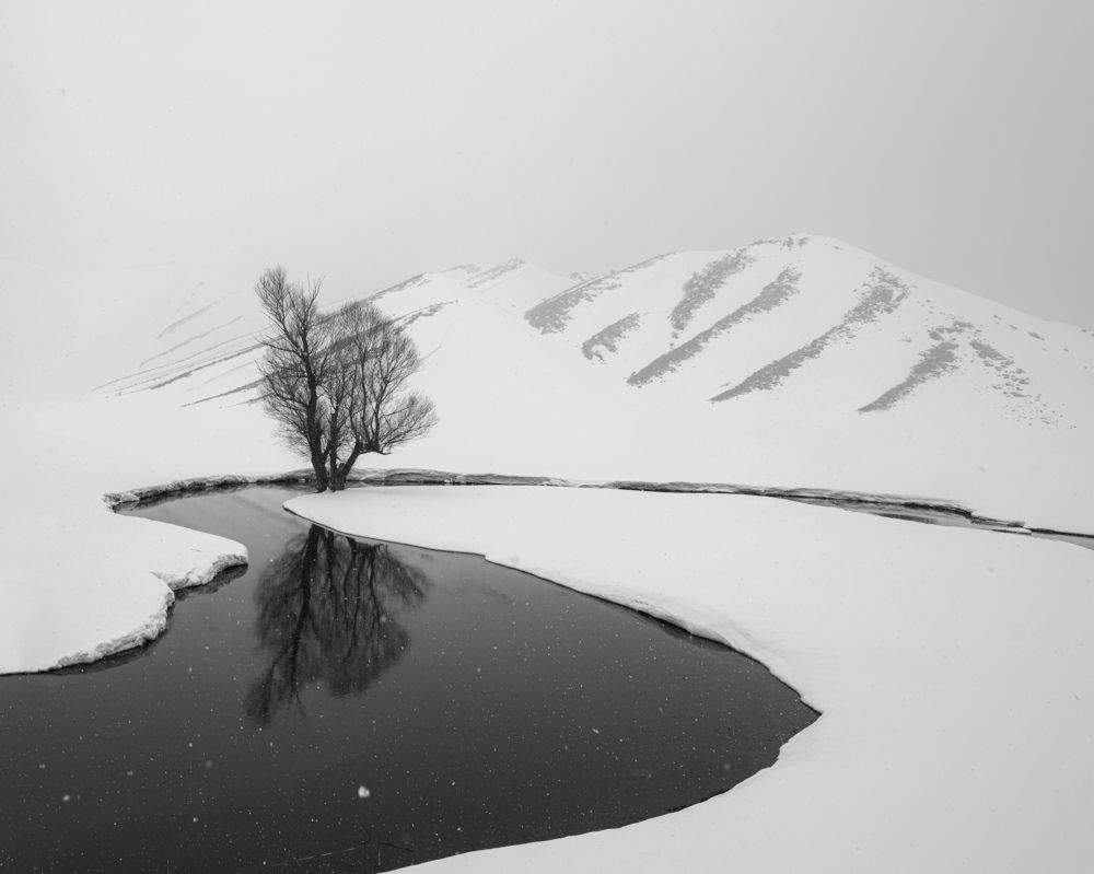 Photograph by Alipour mohammad