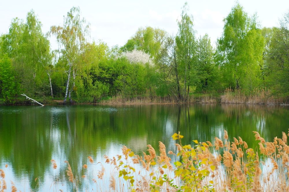 Photograph by Юля Хатыпова