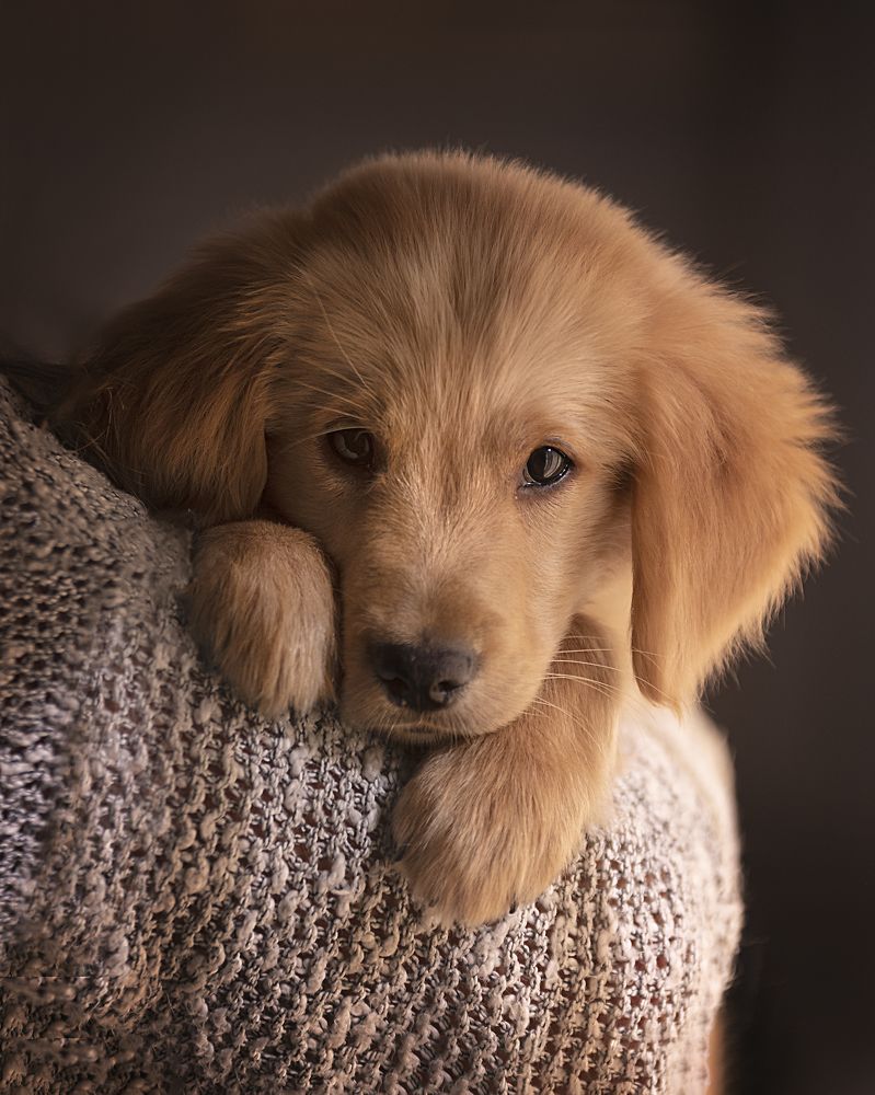 Photograph by Any Giusto