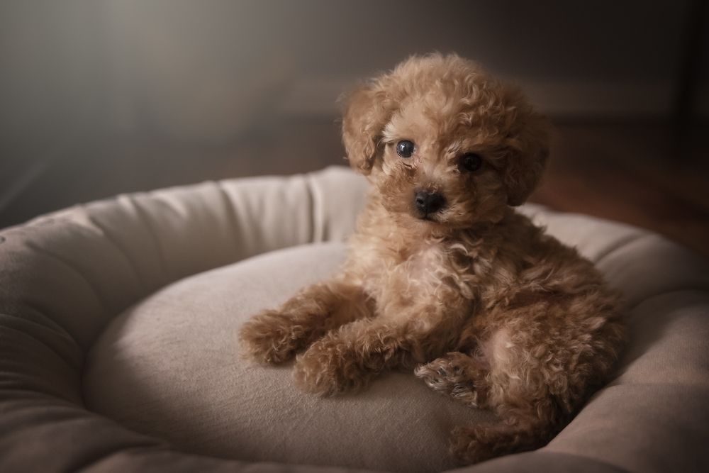 Photograph by Any Giusto