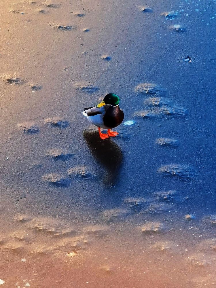 Photograph by Александр Максимов