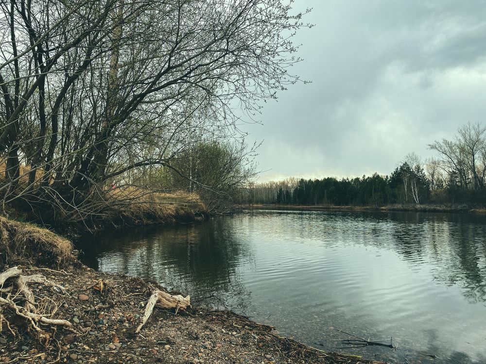 Photograph by Нежданна Казаченко