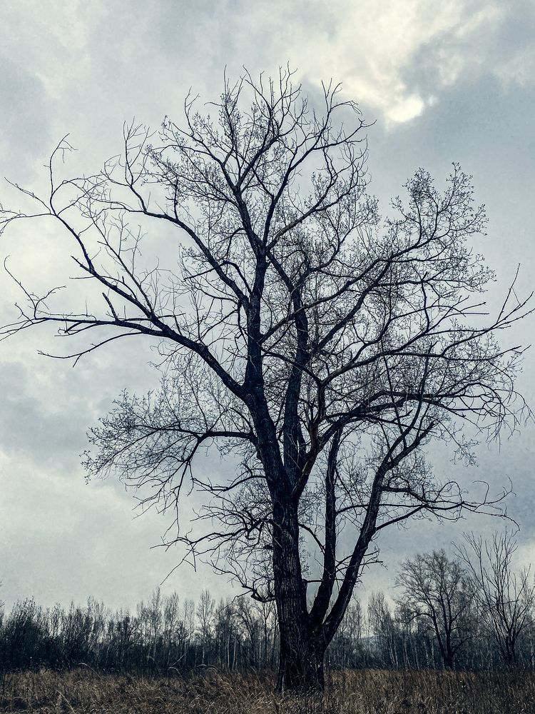 Photograph by Нежданна Казаченко