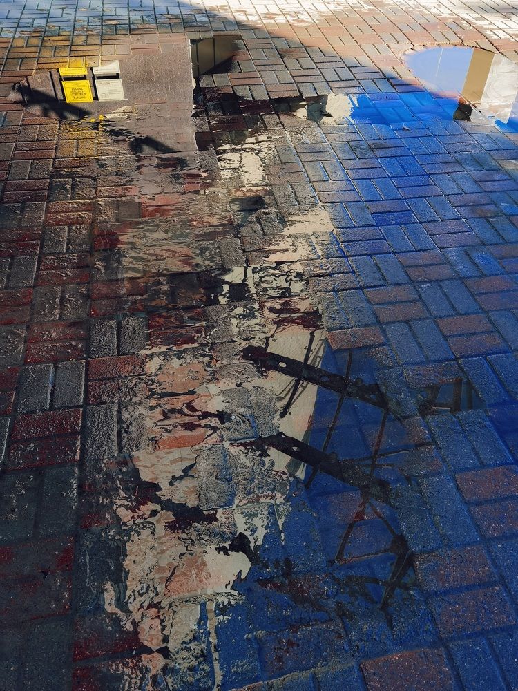 Photograph by Александр Максимов