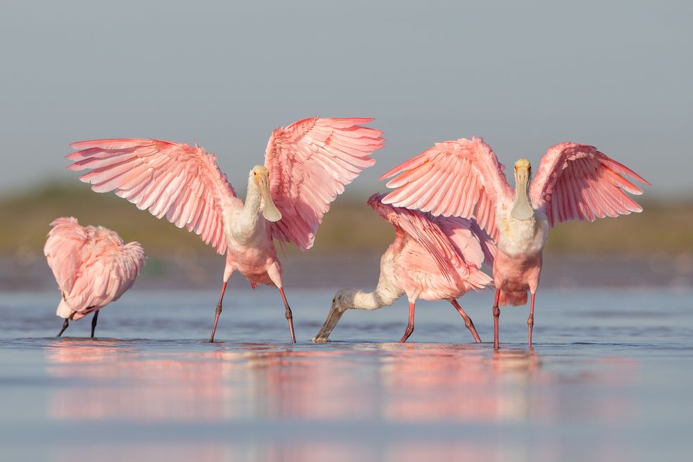 Photograph by Andrés Ruggeri