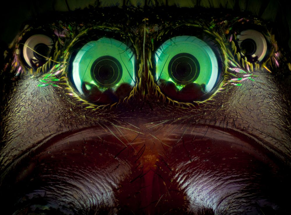 Photograph by Hardy Vargas Vasquez