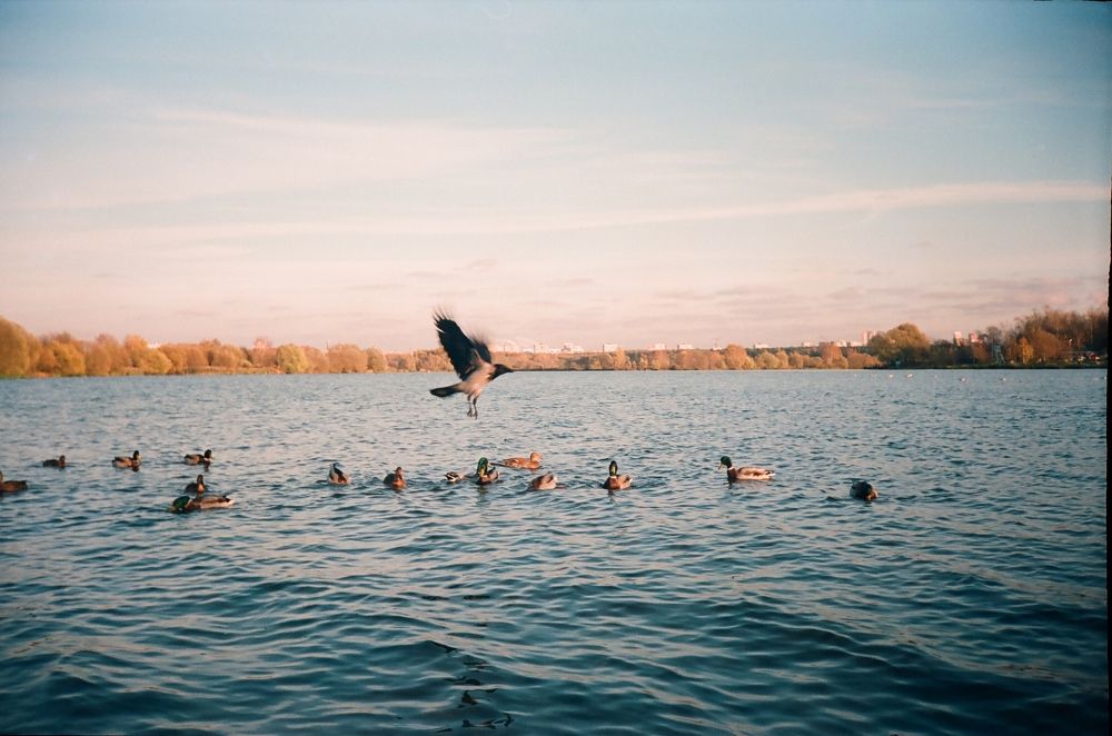Photograph by Елена Руднева