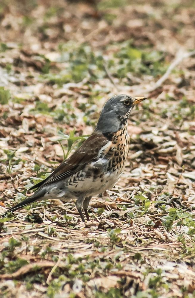 Photograph by Нежданна Казаченко