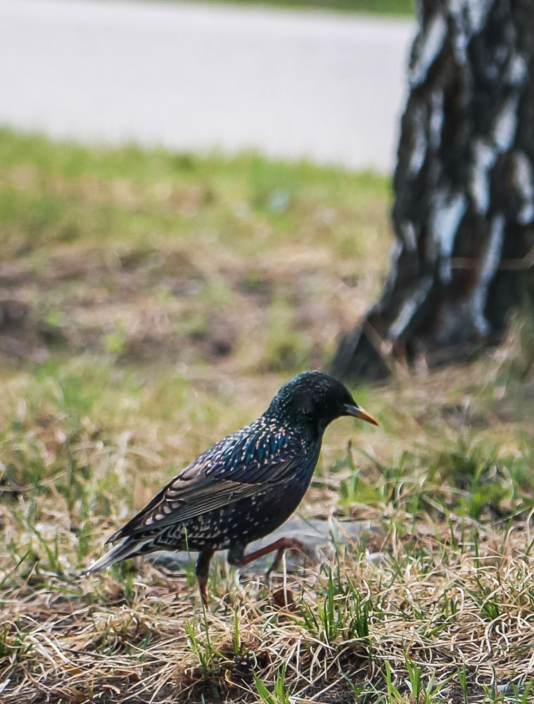 Photograph by Нежданна Казаченко