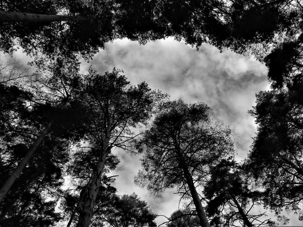 Photograph by Николай Худяков