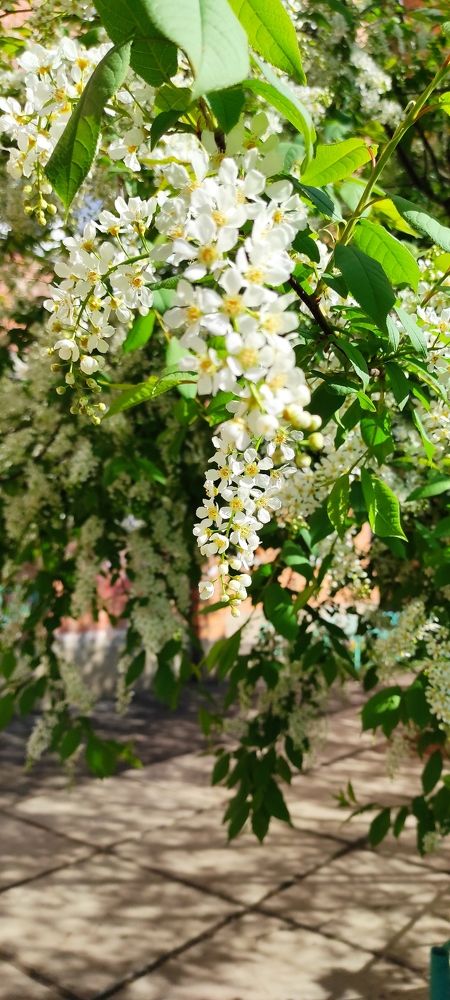 Photograph by Мария