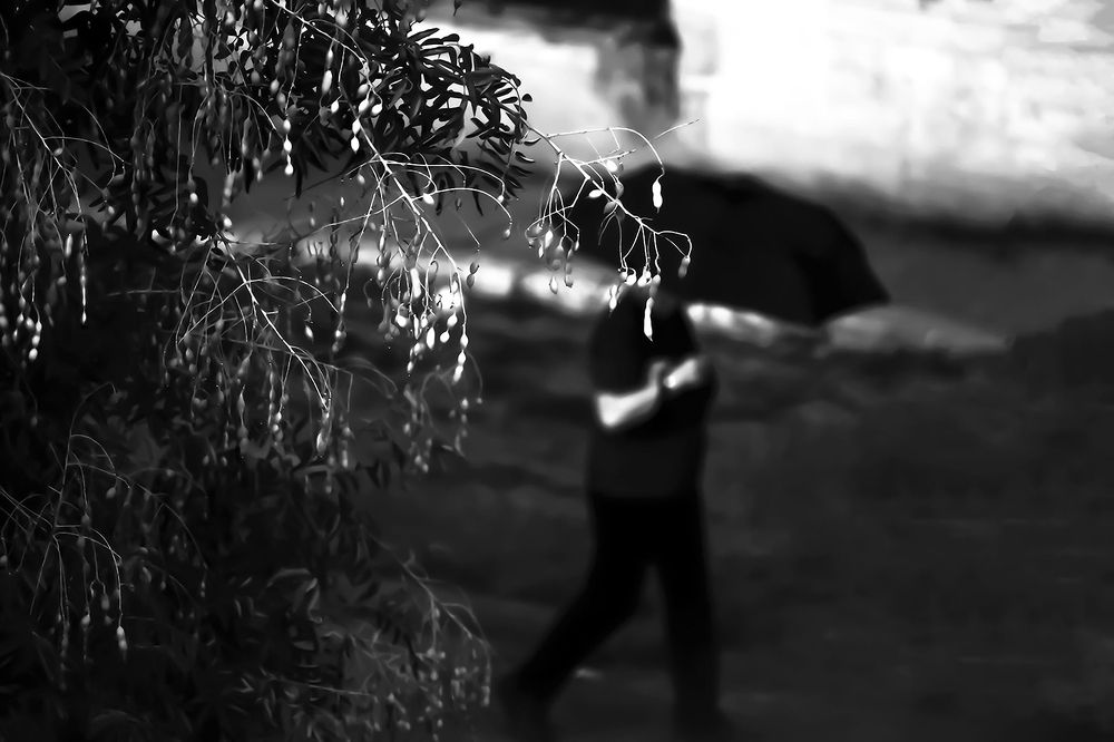 Photograph by Teresa Molinaro