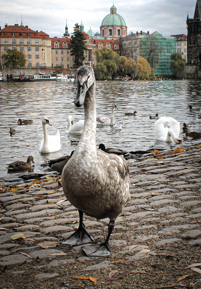 Photograph by Евгения Д