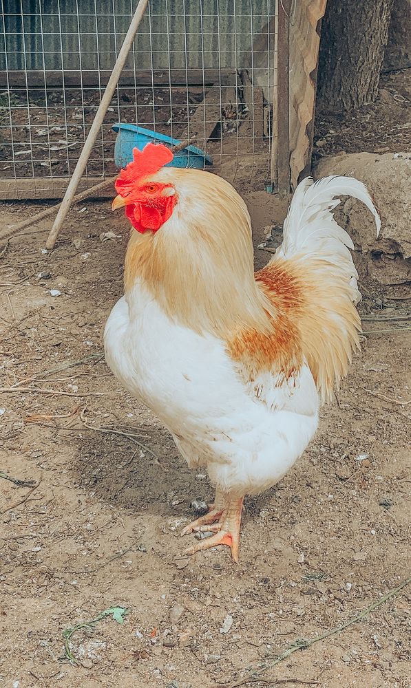 Photograph by Евгения Д