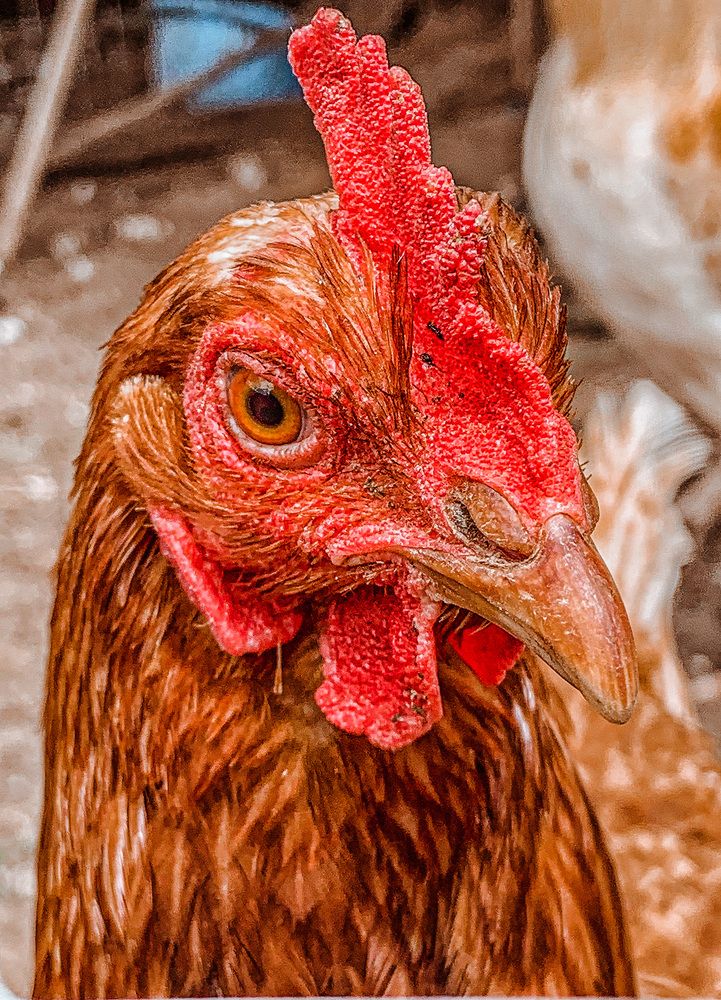 Photograph by Евгения Д