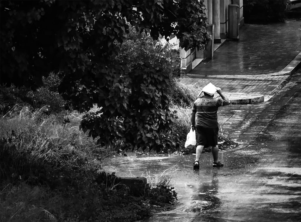 Photograph by Teresa Molinaro