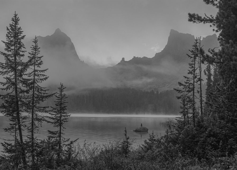 Фотография автора Александр Довганюк