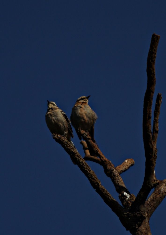 Photograph by Régis Santos