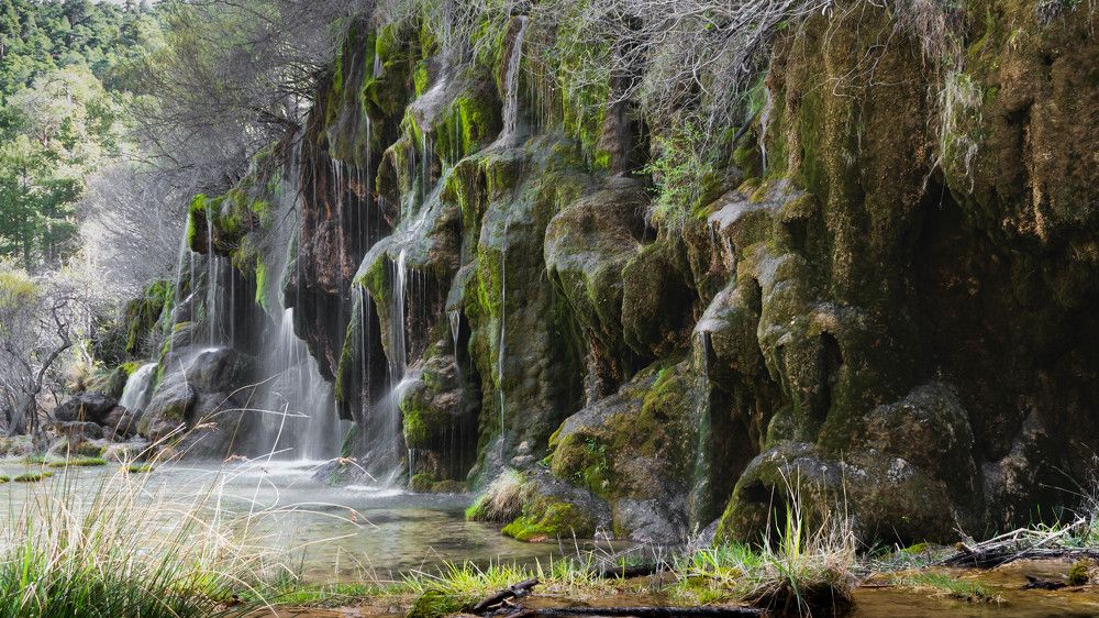 Photograph by sergio flores