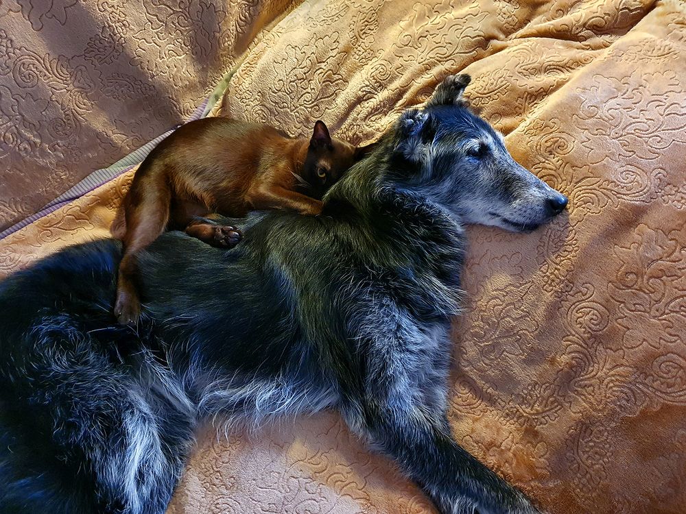 Фотография автора Надежда Лисицына