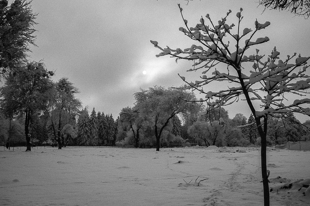 Февральский пейзаж