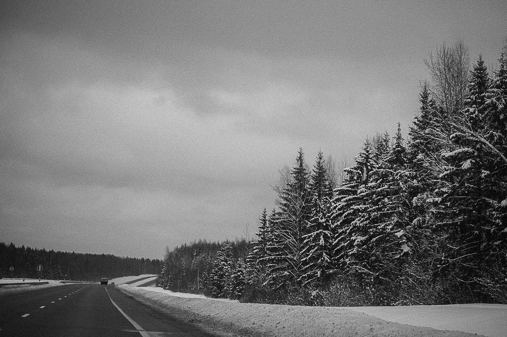 Photograph by Елена Шахова