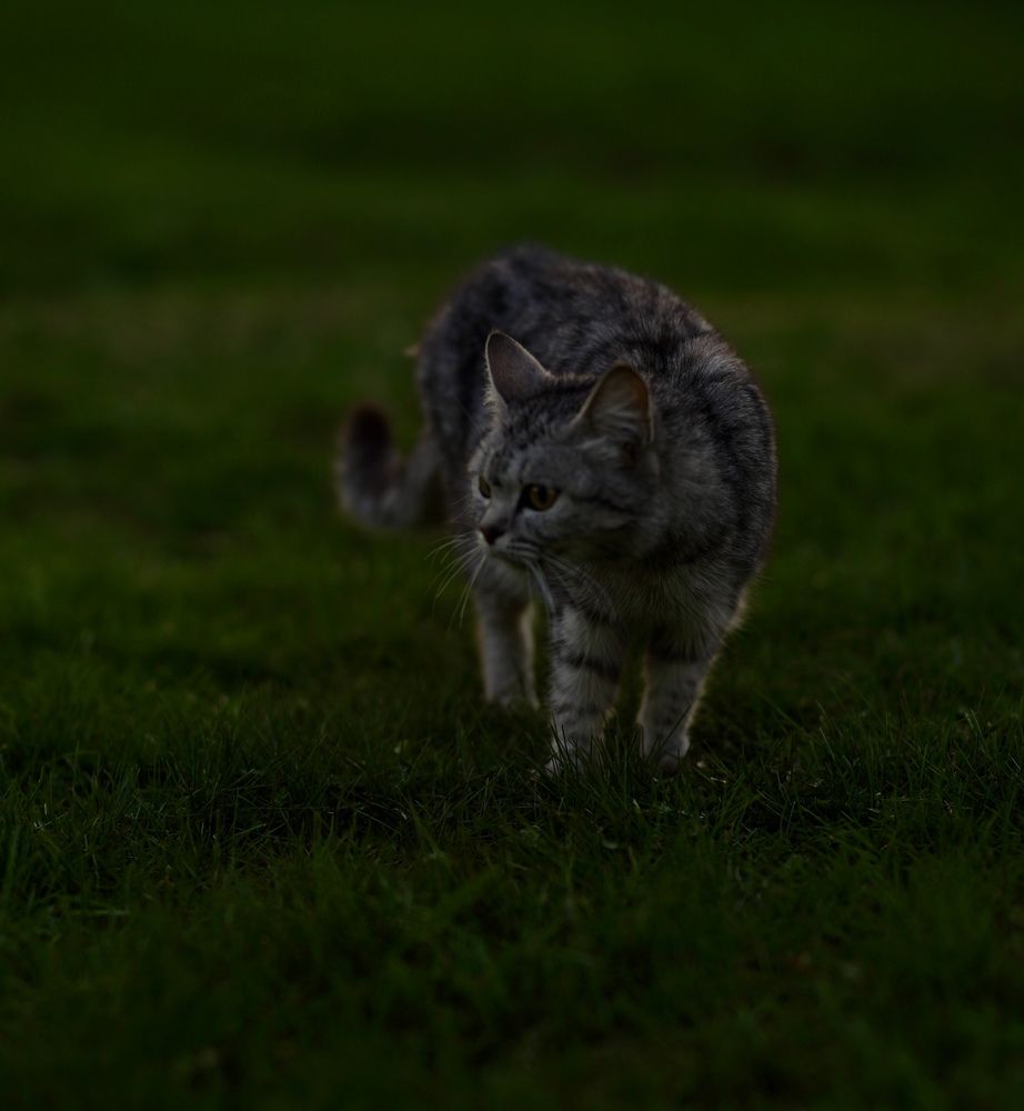 Photograph by Renata Frolkina